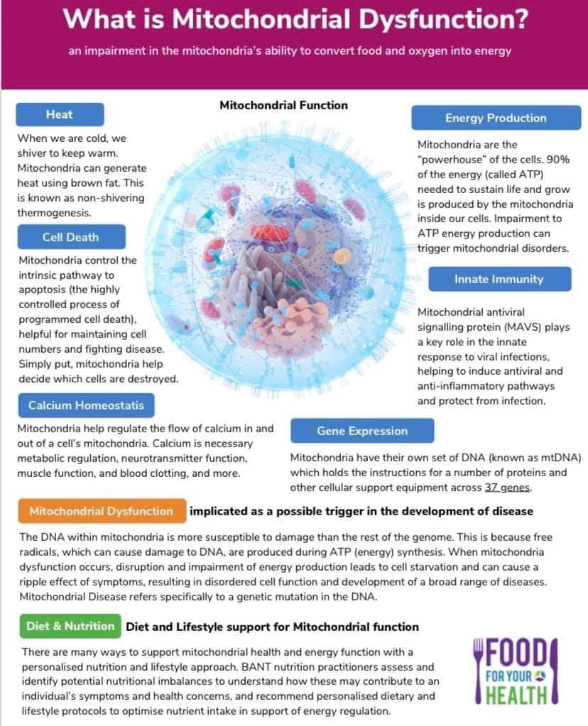 Mitochrondria Dysfunction by Janet MAUS, PhD, ND, DSPh, CFEd, FRC, RMA, PA 