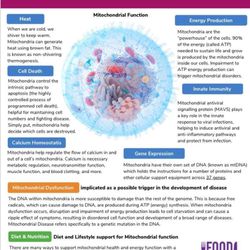 Mitochrondria Dysfunction by Janet MAUS, PhD, ND, DSPh, CFEd, FRC, RMA, PA 