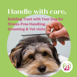 Handle with Care: Building Trust with Your Dog for Stress-Free Vet and Grooming Visits