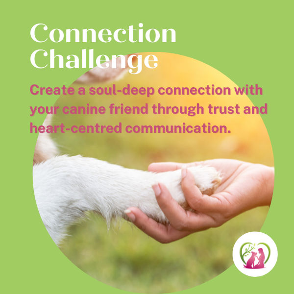 Create a Deep, Heart Connection with Your Dog