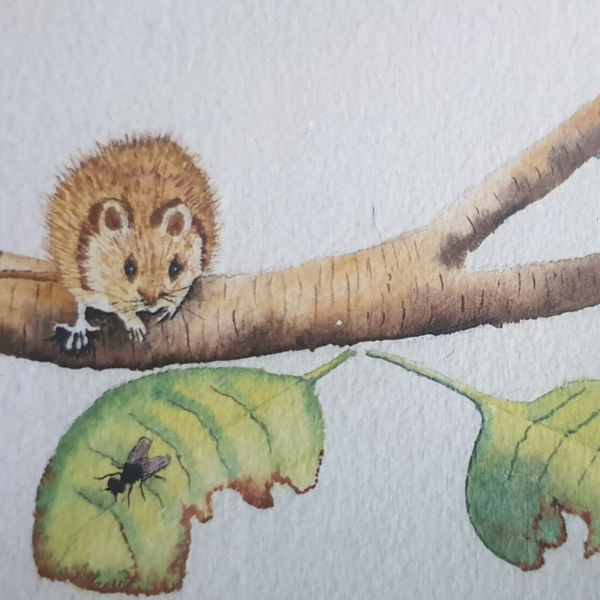  I Dreamed A Dream - Hand Painted Images - Healing Card Tool Kit