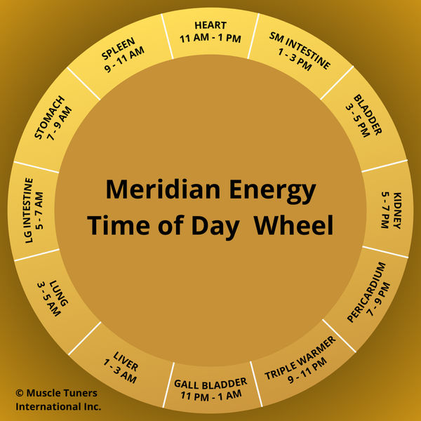 BioEnergetic Wellness for Health and Pain Management