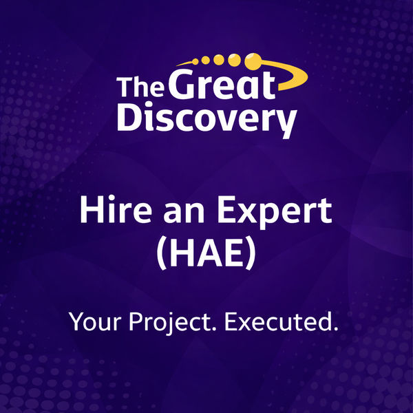 Hire an Expert