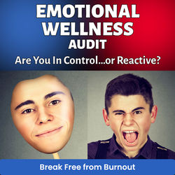 Emotional Wellness Audit
