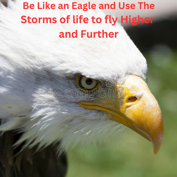 Learn how to fly like an Eagle by Akey Ahiem