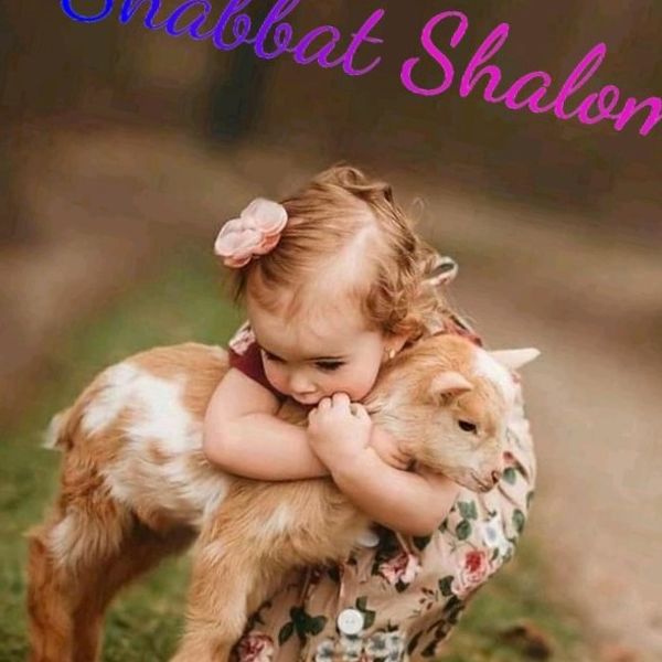 Remember the Sabbath and Keep it Holy