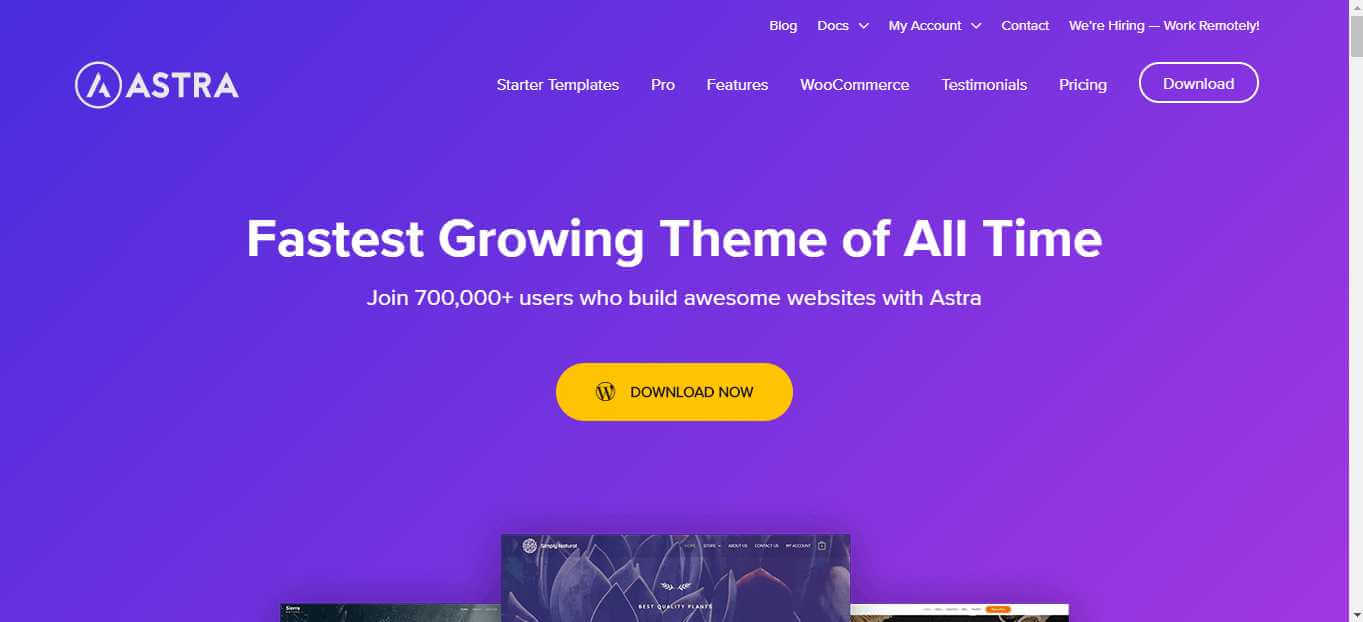 Astra WordPress WooCommerce Theme
