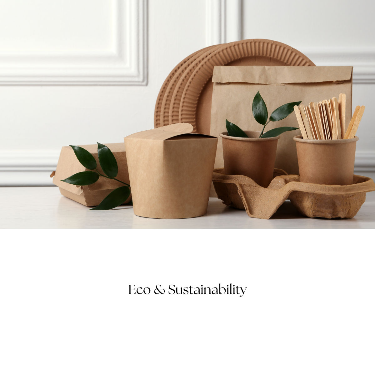Eco & Sustainability insight cover