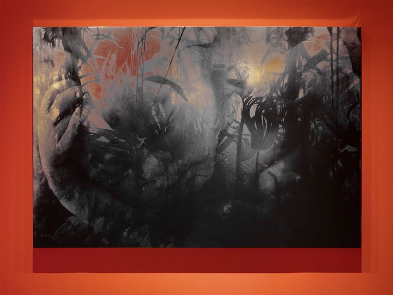 Pure Land By Dinh Q Le At Tang Contemporary Art The Artling