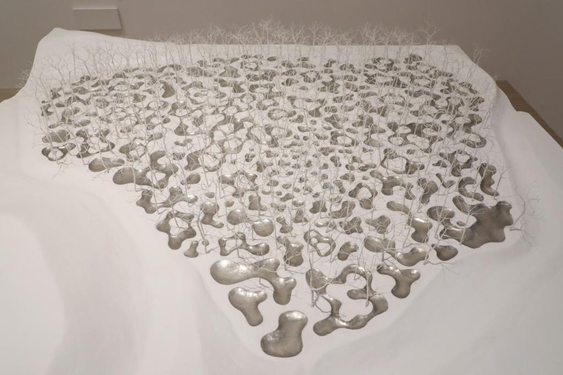 Junya Ishigami: Freeing Architecture | The Artling Artzine
