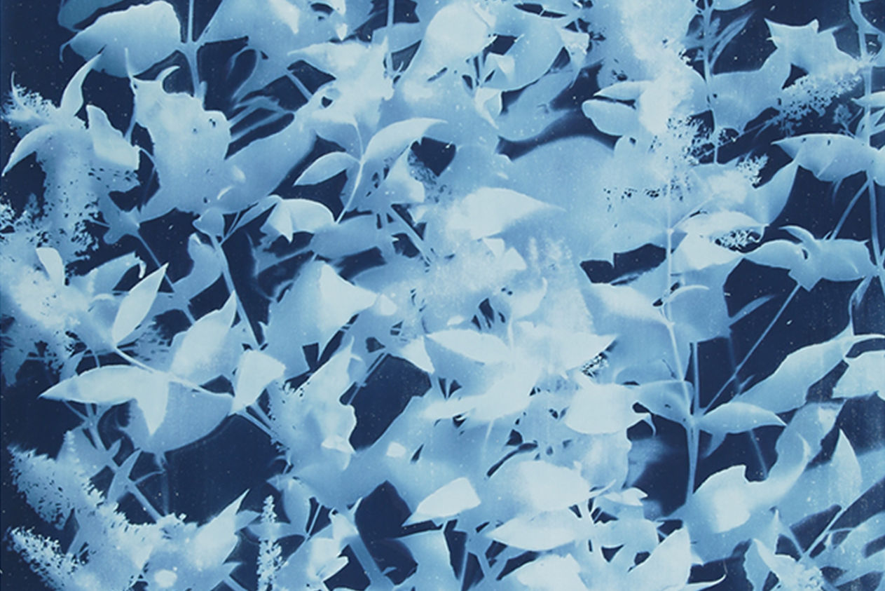 How to achieve darker blues - Cyanotype UK