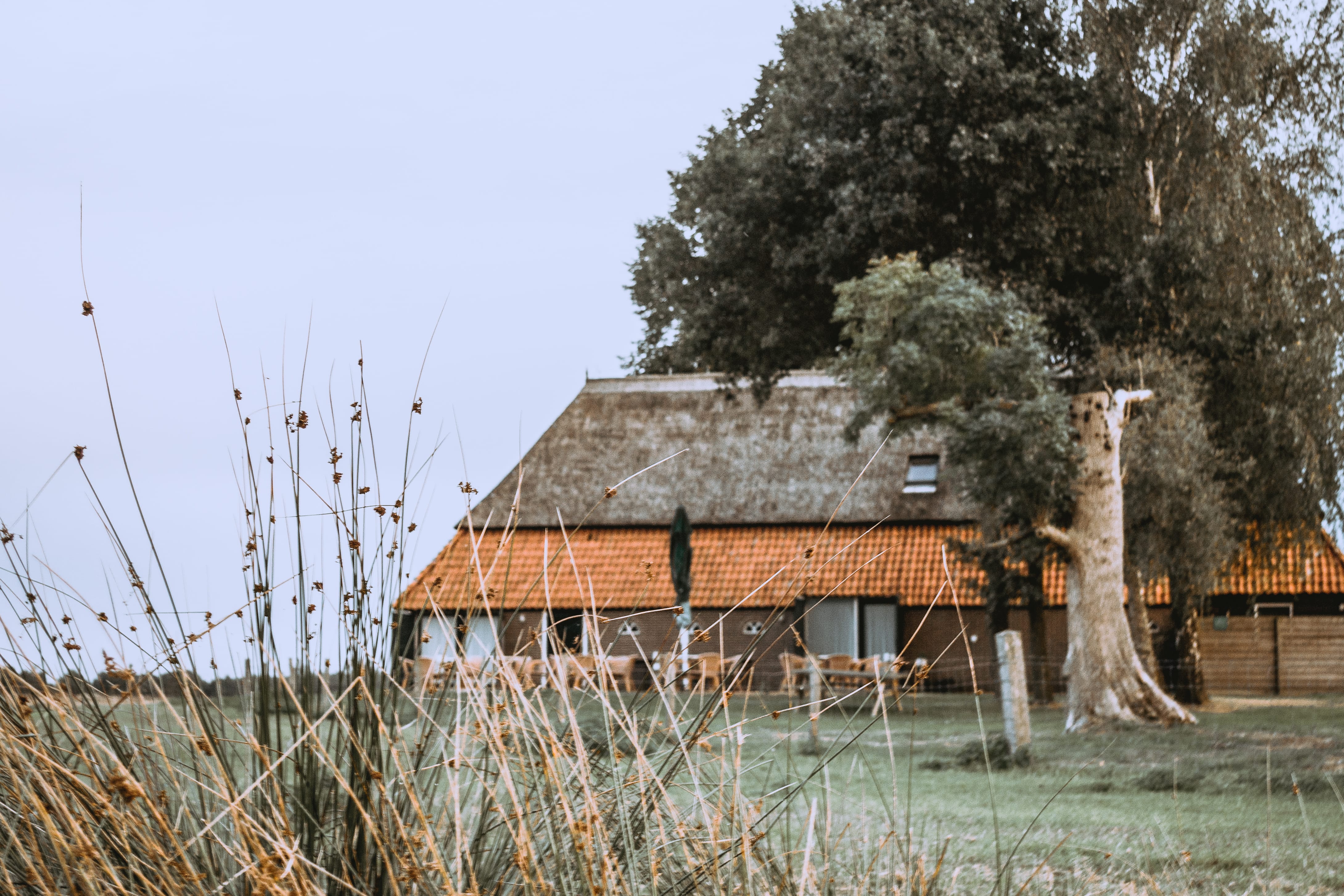 Ganzenhoeve