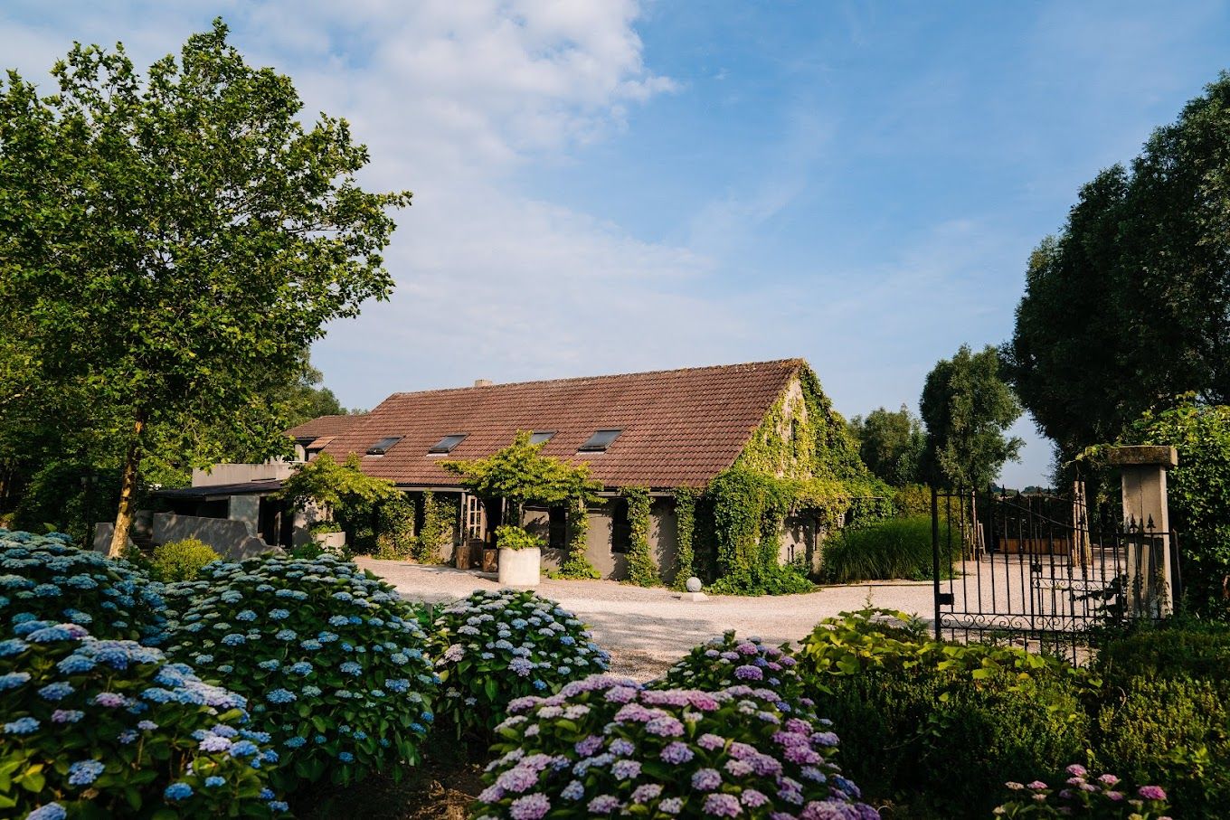 Rotsaert - Green Venue