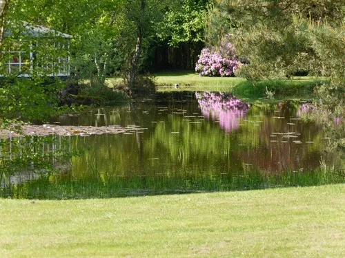Het Bovenveen, foto 3 van 16