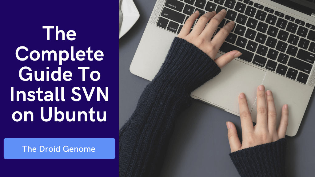 ubuntu install svn client