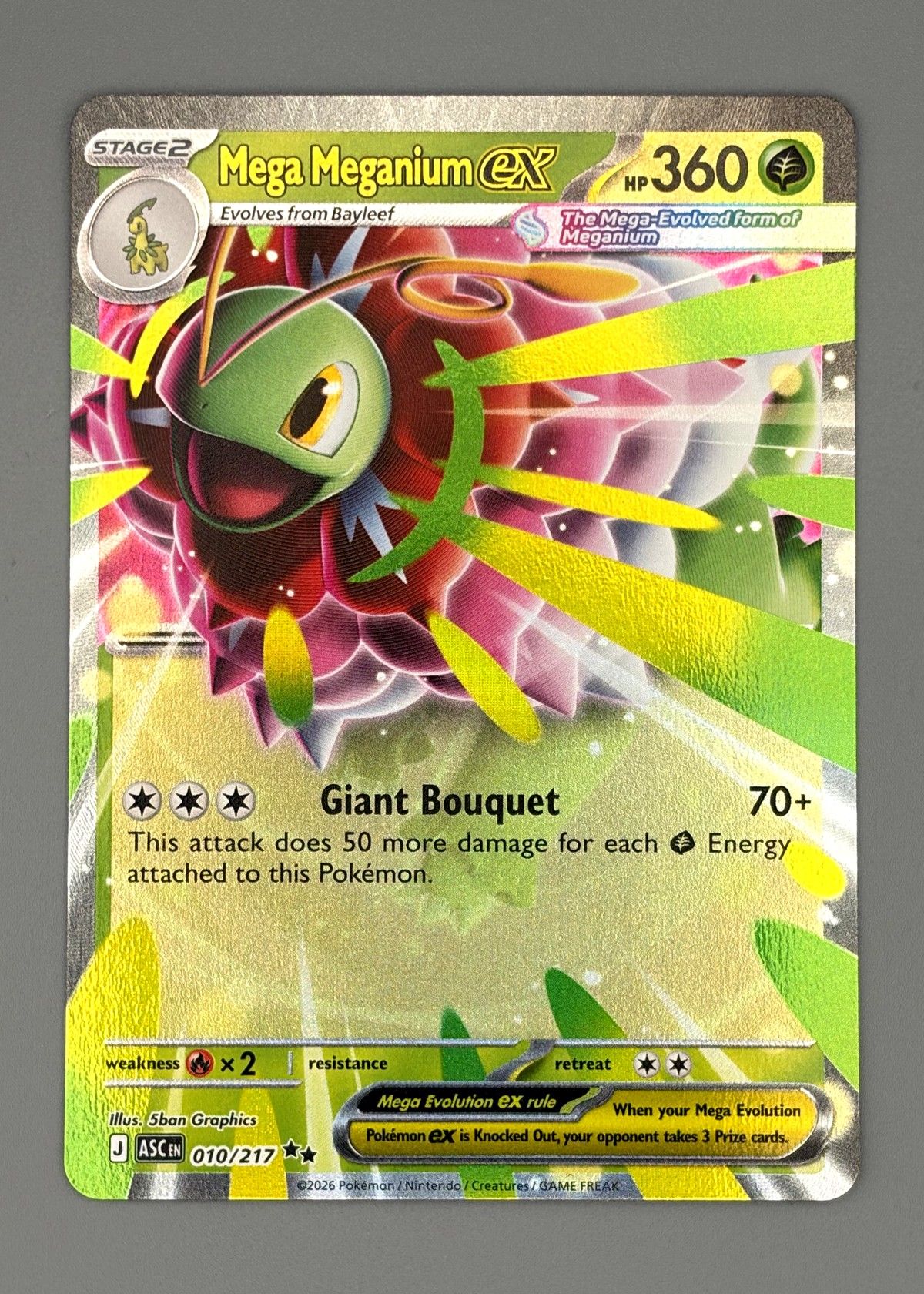 Mega Meganium EX 010/217 (Scarlet & Violet) - Ultra Rare EX, front