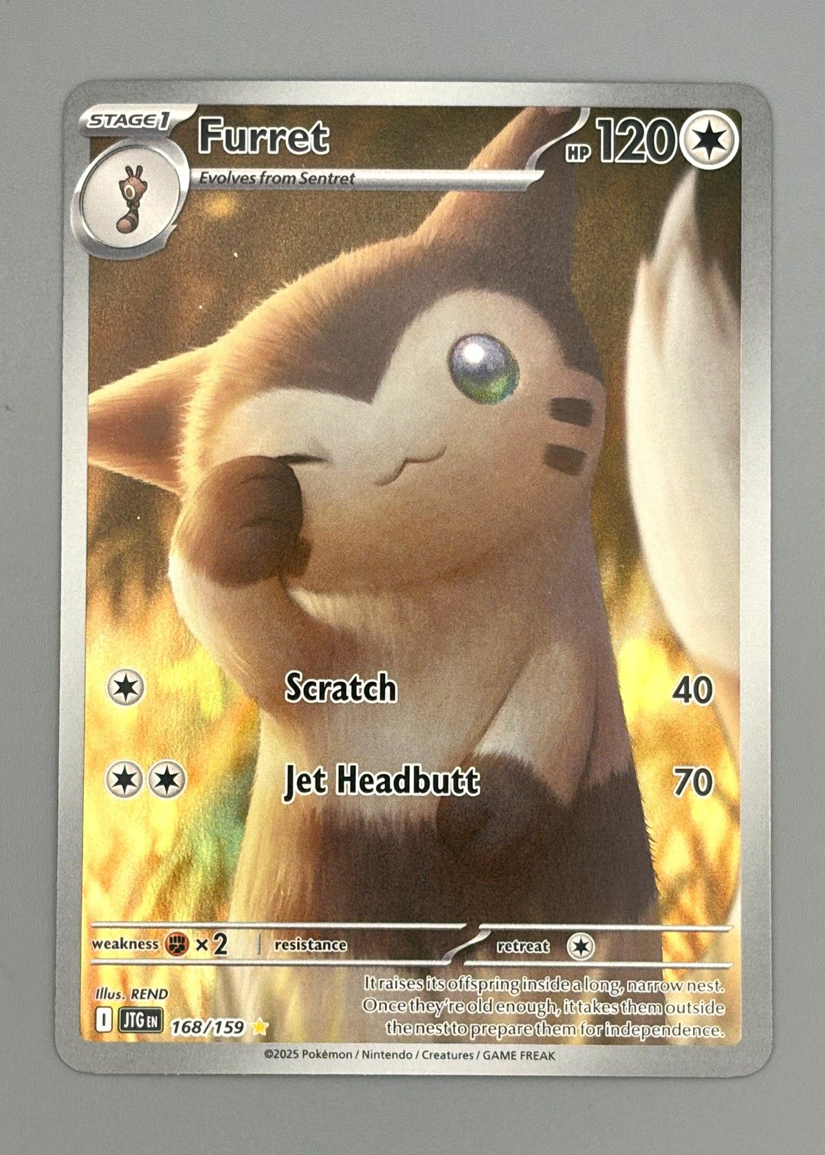 Furret 168/159 (Illustration Rare) - Holo Rare, front