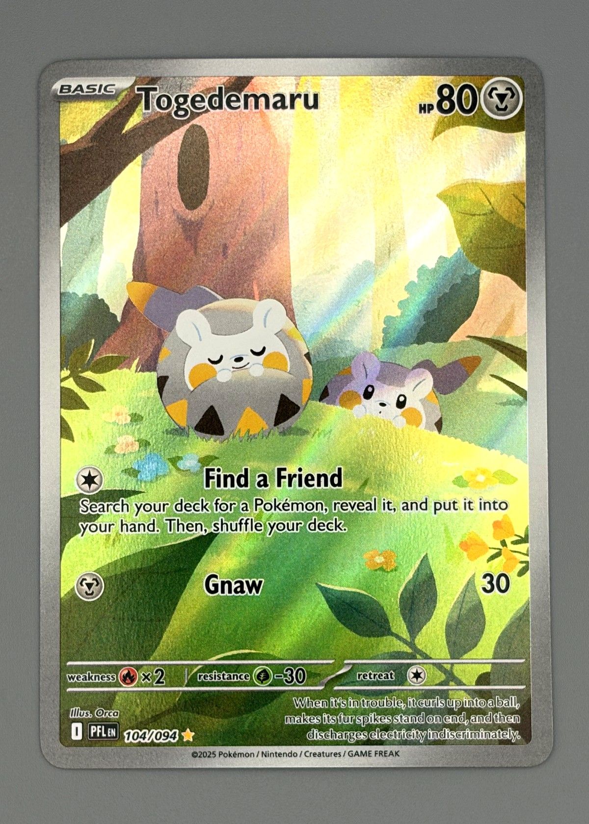 Togedemaru 104/094 (Scarlet & Violet) - Basic Pokémon, front