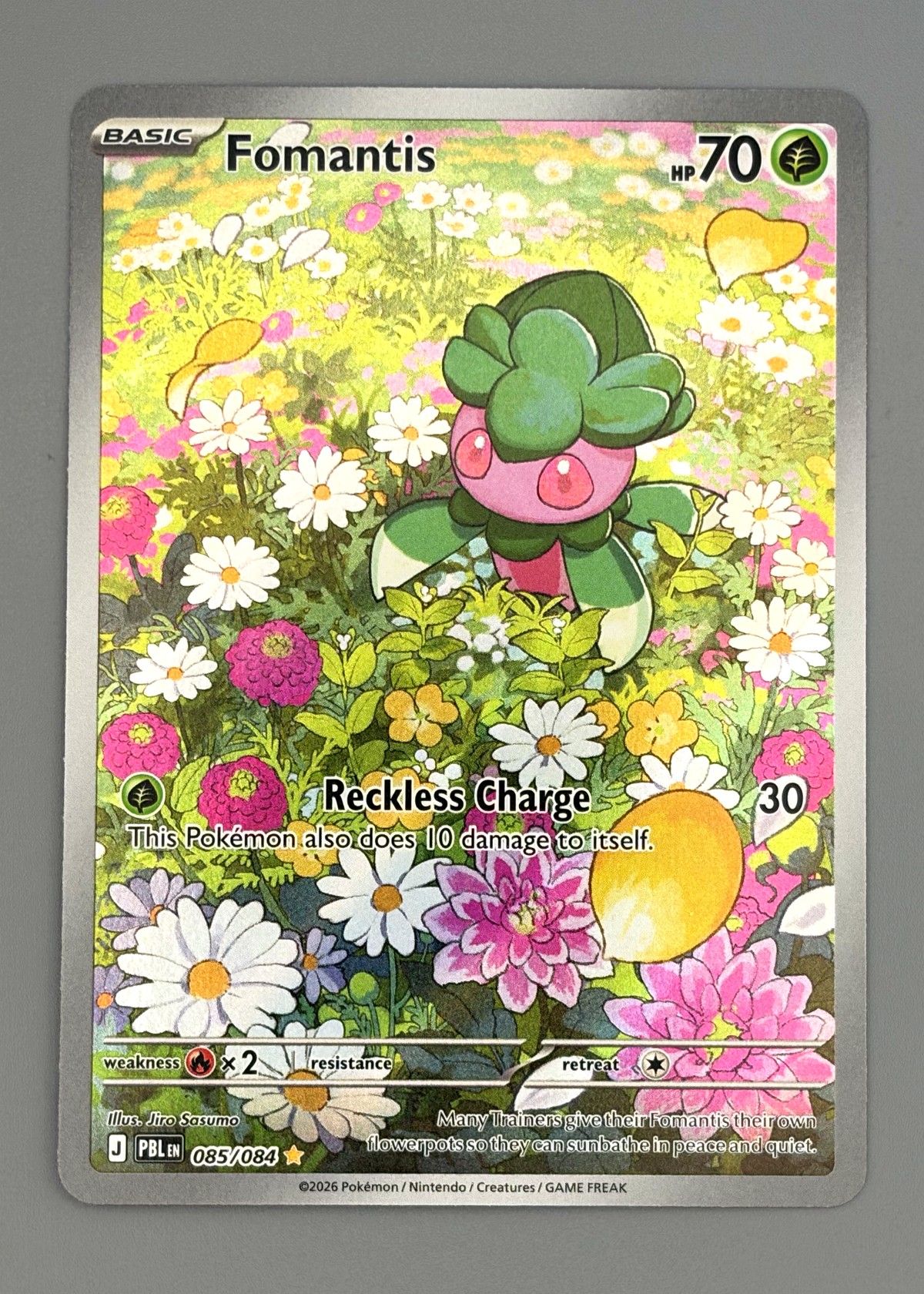 Fomantis 085/084 (Pokémon TCG) - Basic Pokémon, front