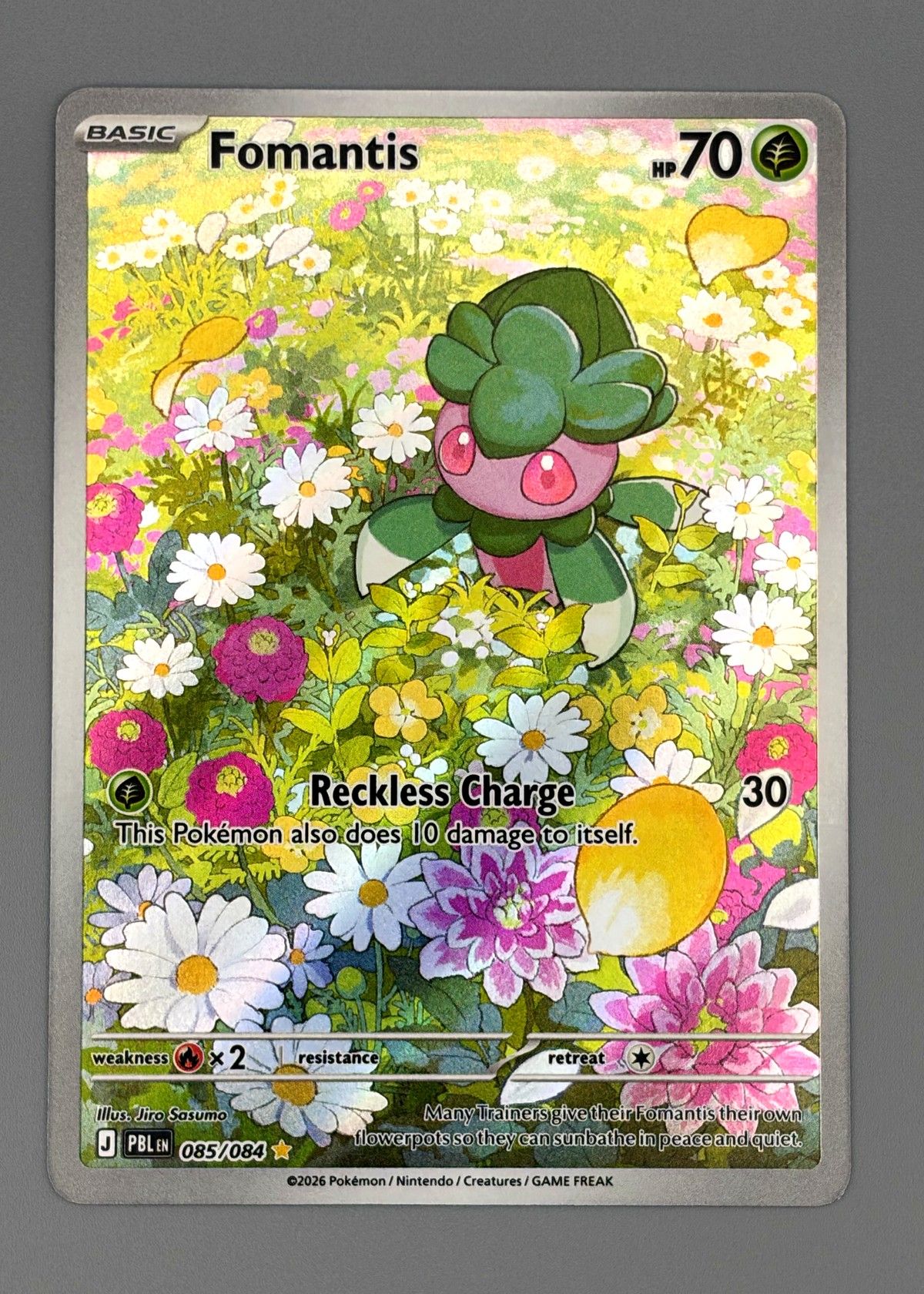 Fomantis 085/084 (Scarlet & Violet) - Basic Grass Pokémon, front