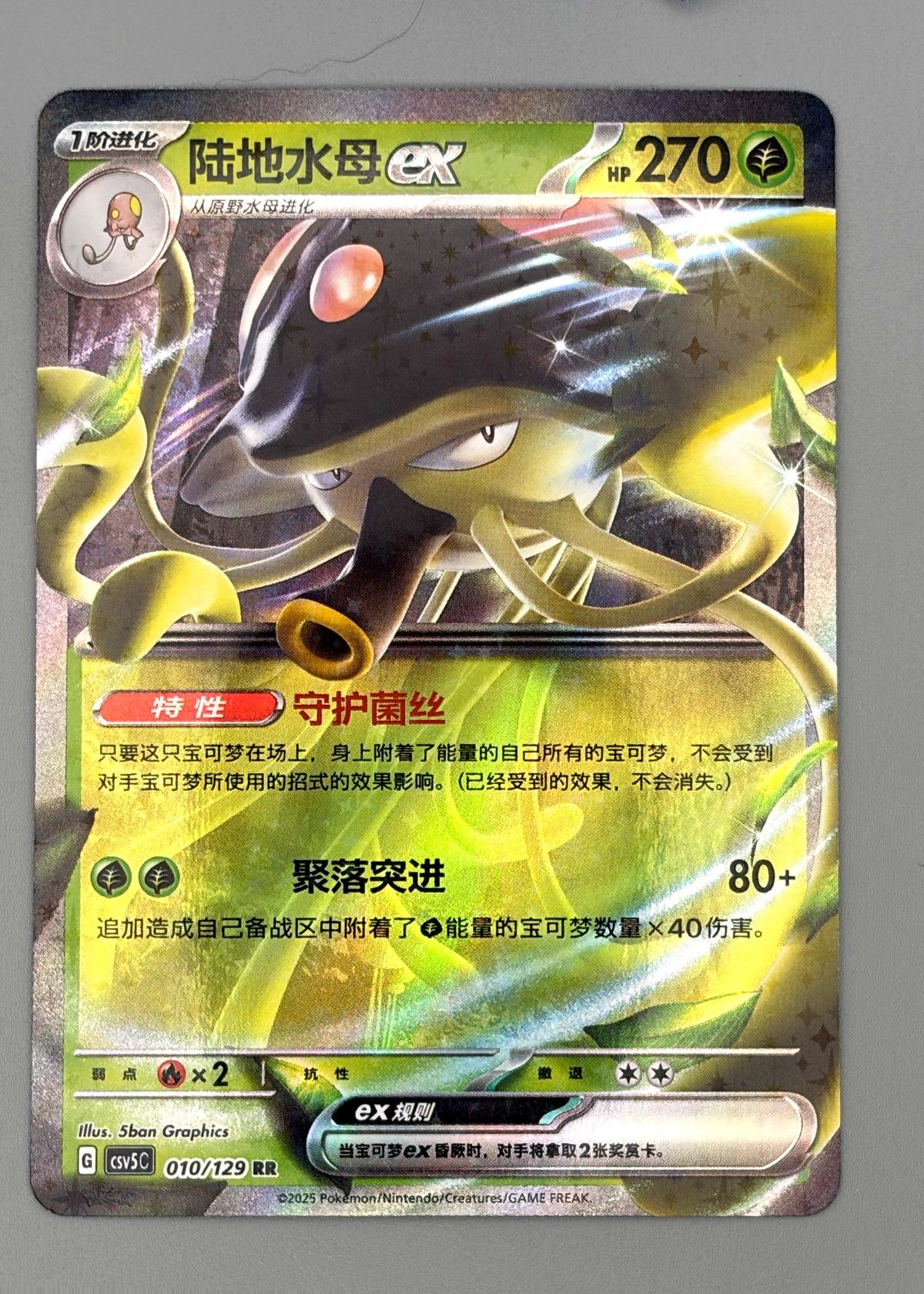 Landorus ex 010/129 (Chinese) - Ultra Rare EX, front
