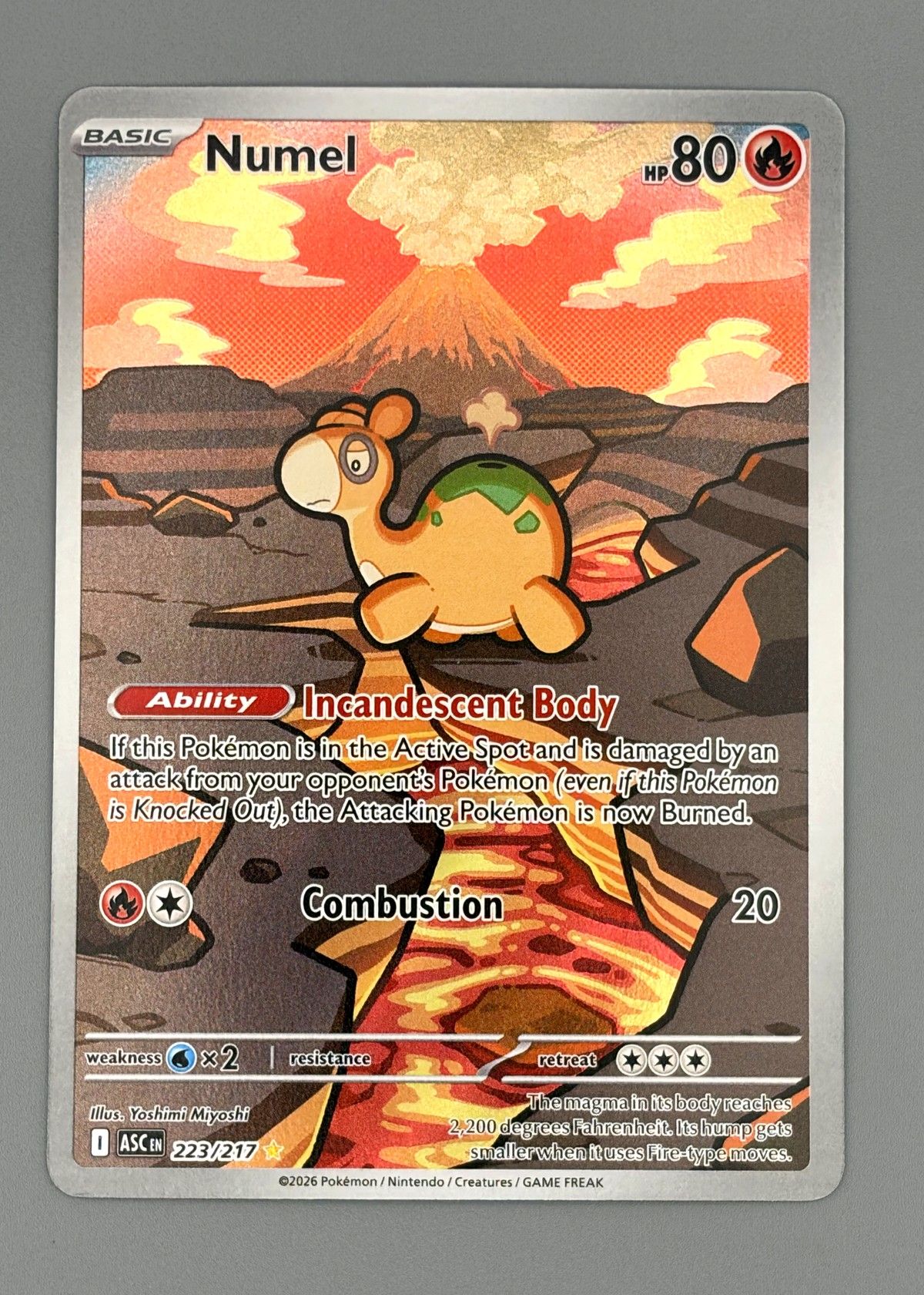 Numel 223/217 (Scarlet & Violet) - Basic Fire Holo Rare, front