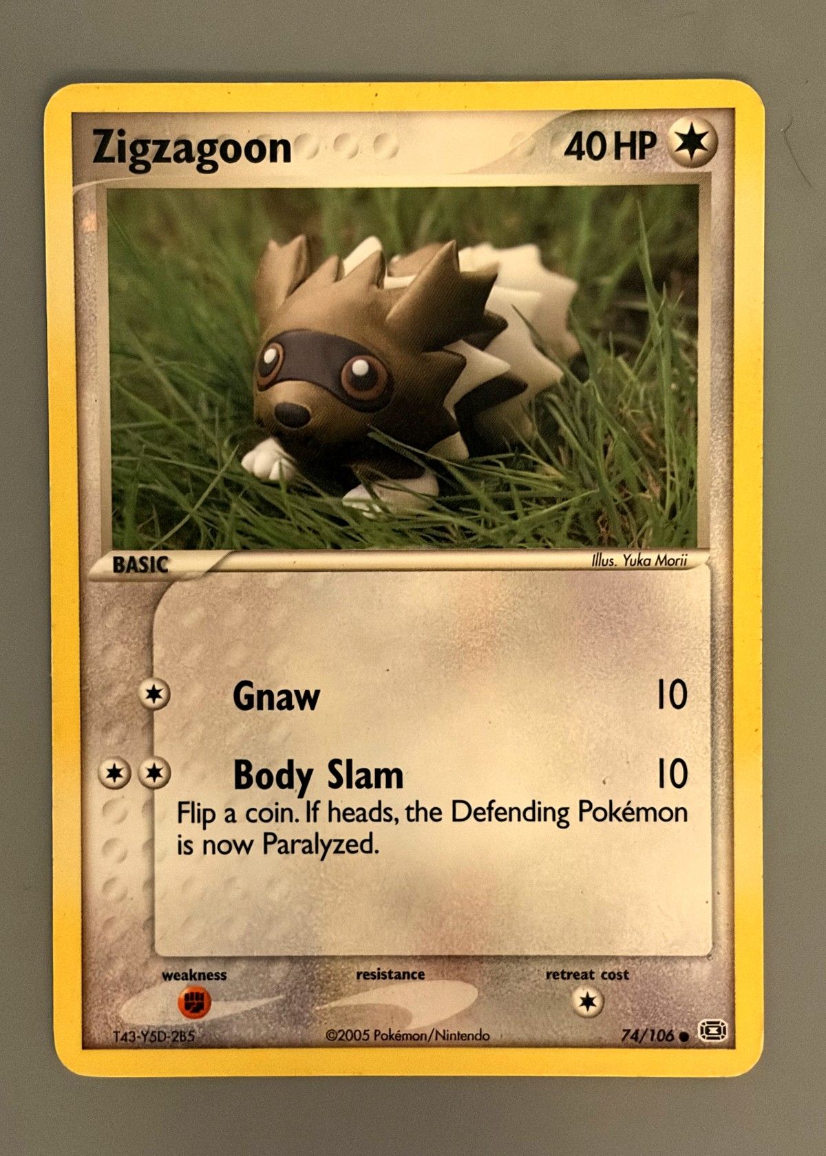 Zigzagoon 74/106 (Emerald) - Common, front