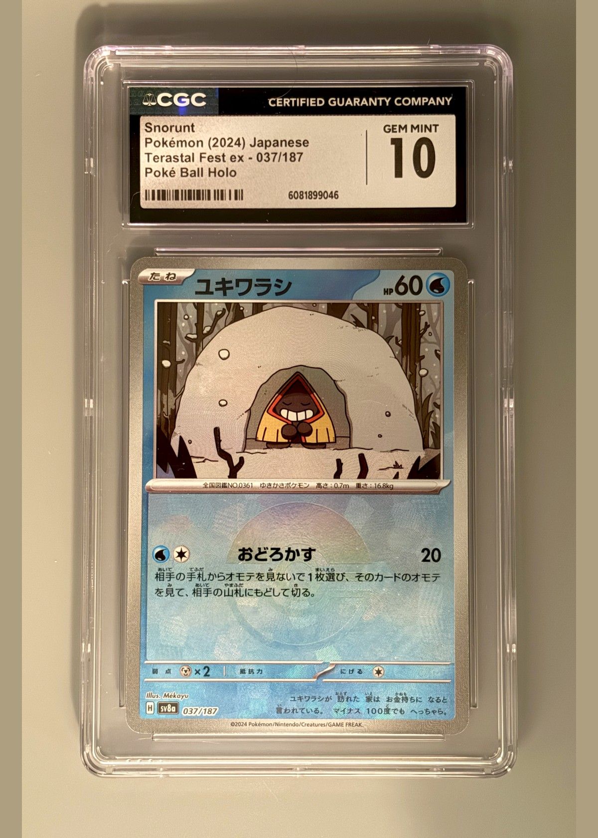 Snorunt Pokémon (2024) Japanese Terastal Fest ex - 037/187 Poké Ball Holo - CGC 10, front