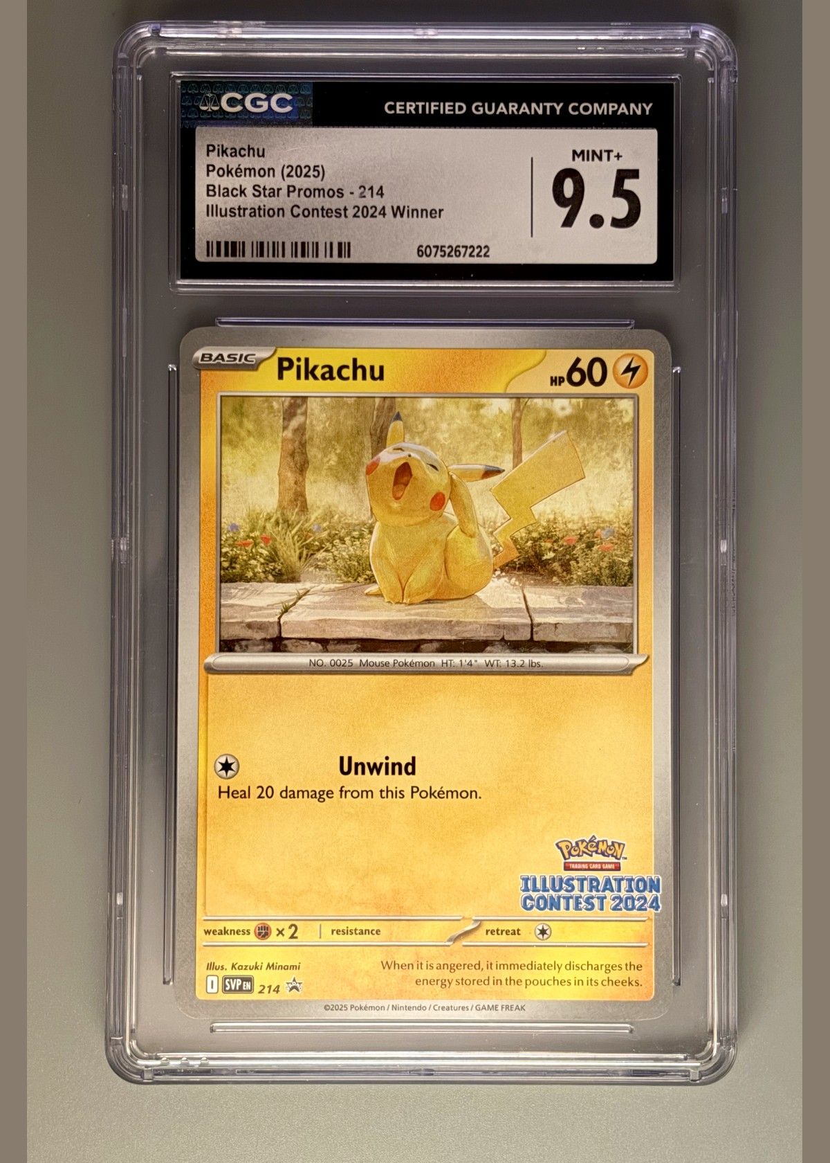 Pikachu 214/214 (Black Star Promos - Illustration Contest 2024 Winner) - CGC 9.5, front