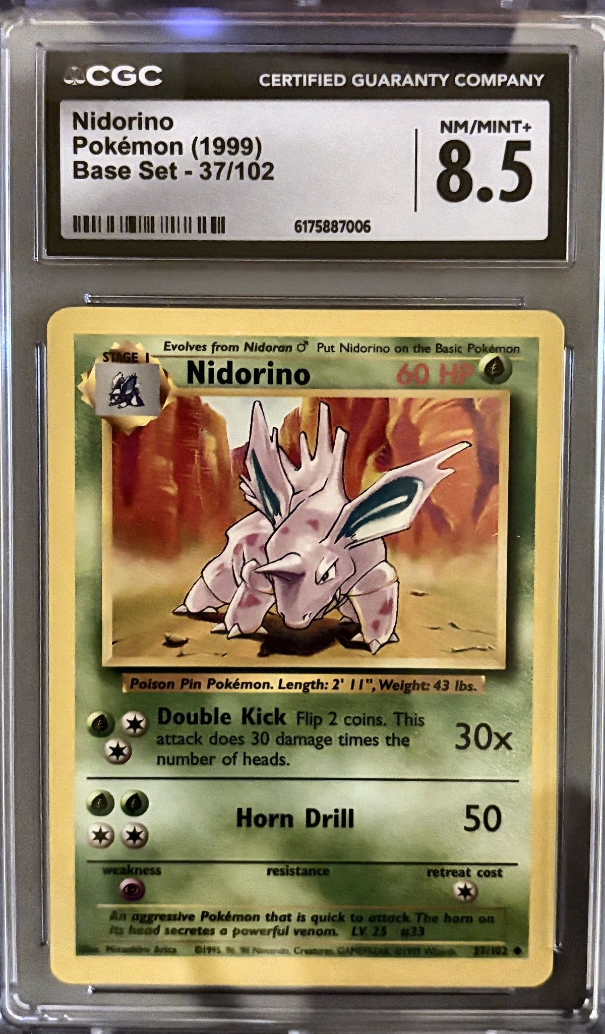 Nidorino 37/102 (1999 Pokémon English Base Set) - CGC Nm/Mint+ 8.5, front
