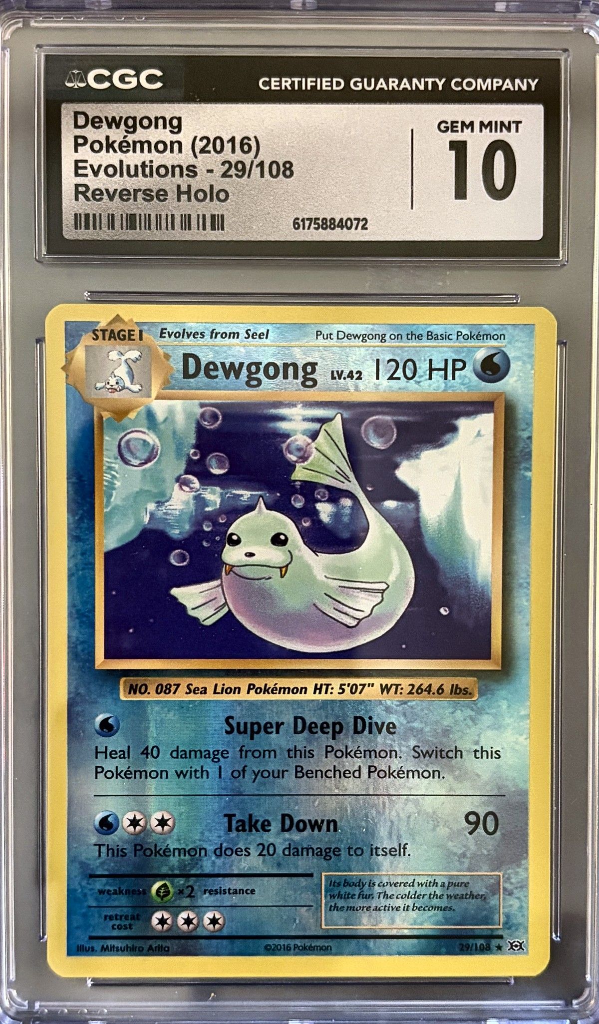 Dewgong 29/108 (2016 Pokémon English Evolutions) - CGC Gem Mint 10, front