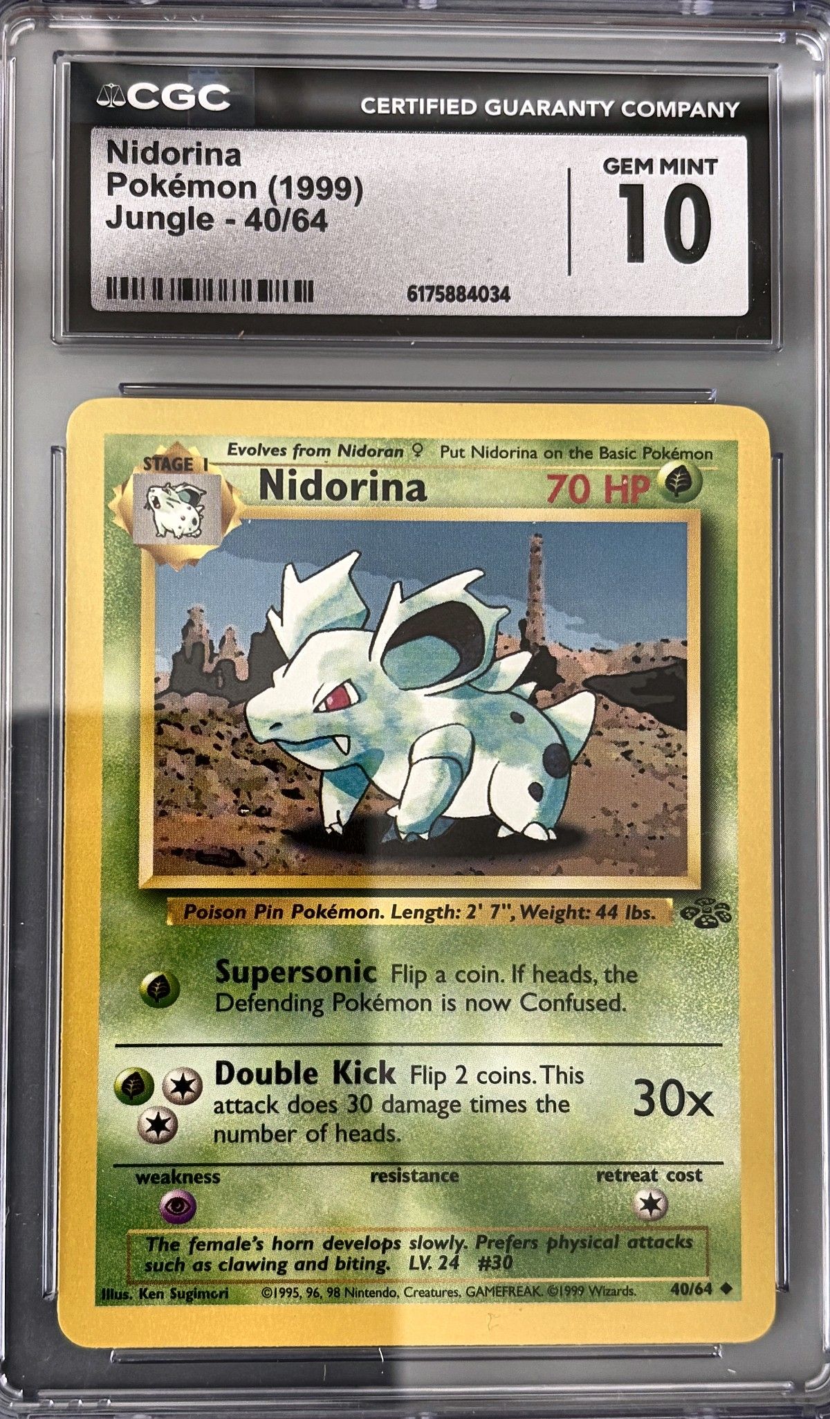 Nidorina 40/64 (1999 Pokémon English Jungle) - CGC Gem Mint 10, front