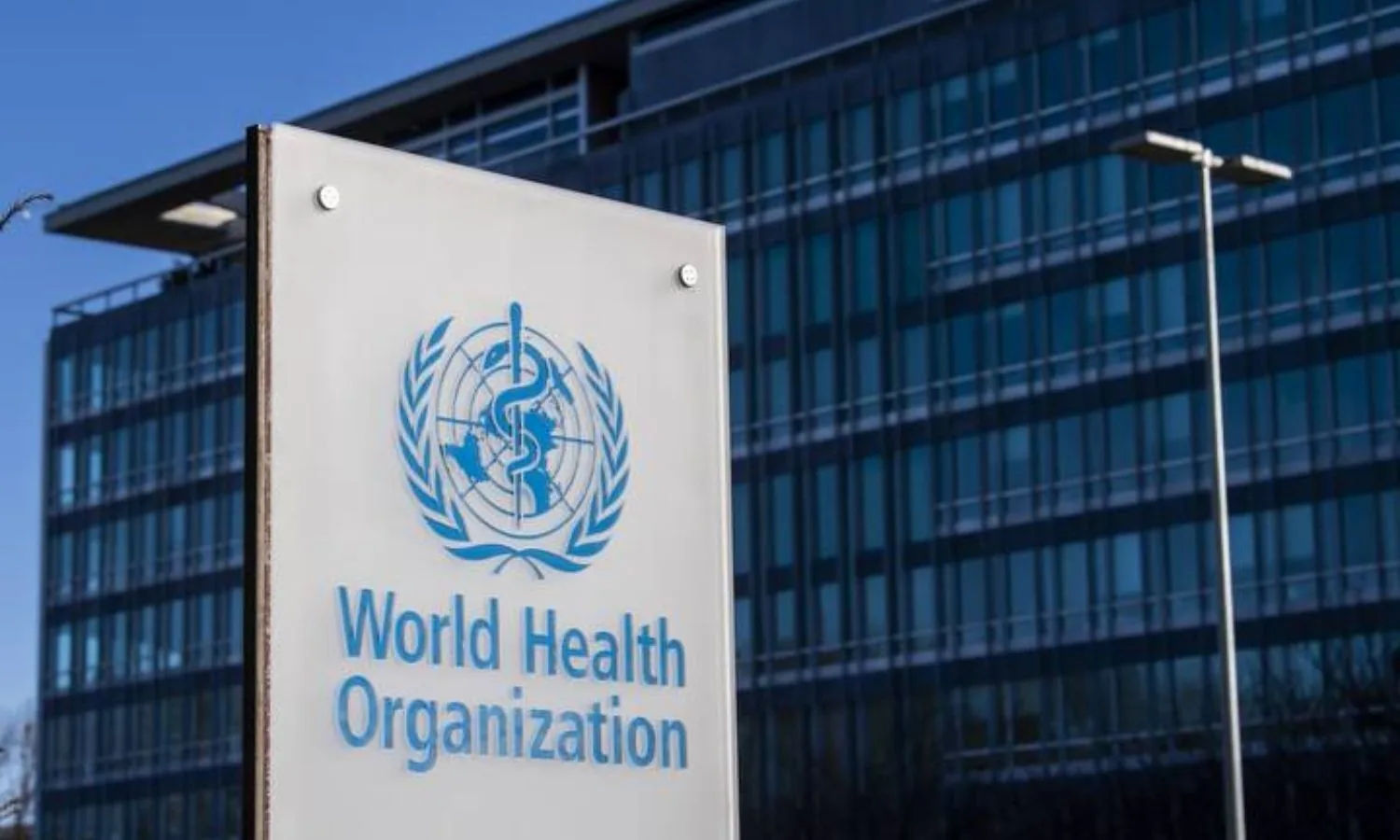 WHO Cancer Agency Classifies Three Common Medications As Carcinogens