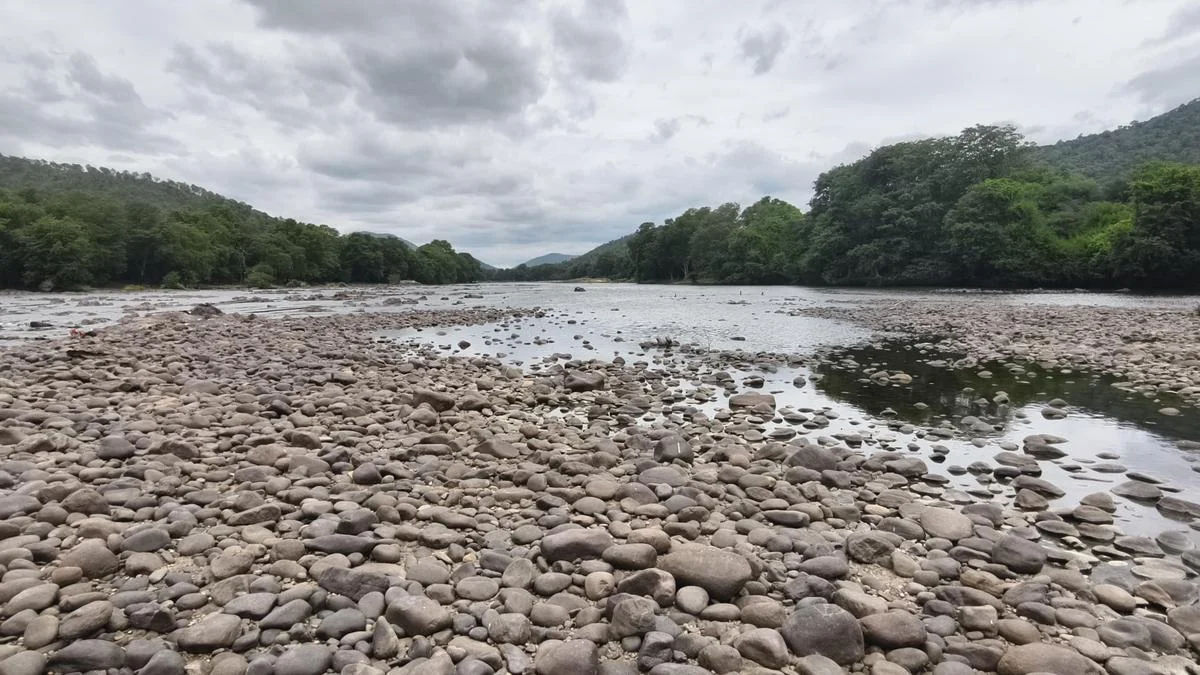 Tamil Nadu Urges Supreme Court for Cauvery Water Backlog Release