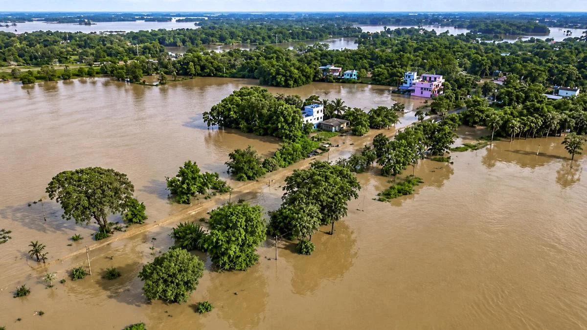 Odisha Flood Crisis: 7.85 Lakh People Affected