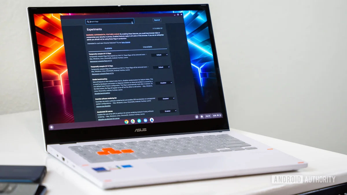 Government Issues Security Alert for Google Chrome Users