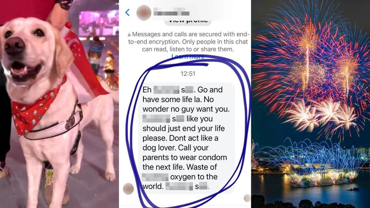 Guide Dog Advocate Harassed Over NDP Fireworks Debate