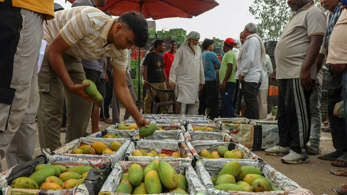 India Farm Exports Scrutinized as Nations Raise Quality Red Flags