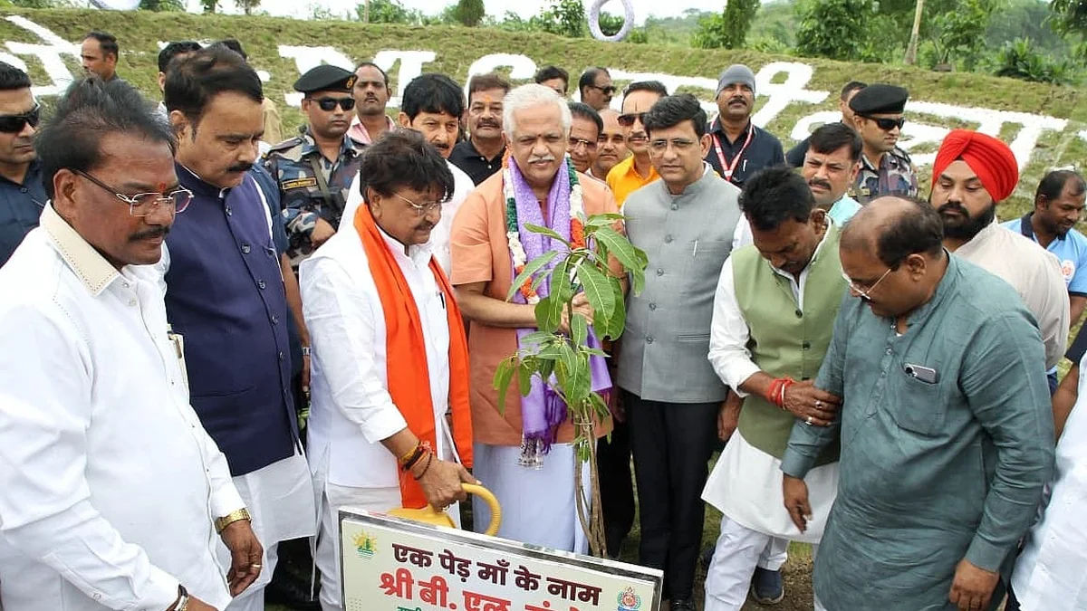 Indore Sets Environmental Record With 13.10 Lakh Trees