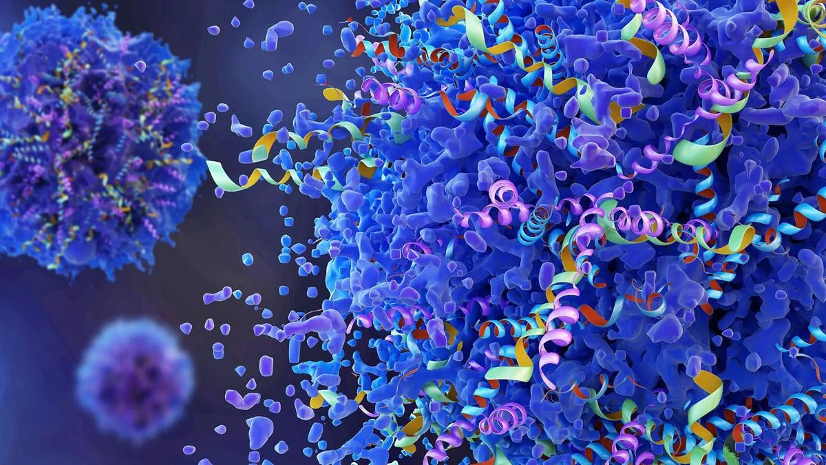 Fitness Influencers Promote Unauthorized Synthetic Peptides