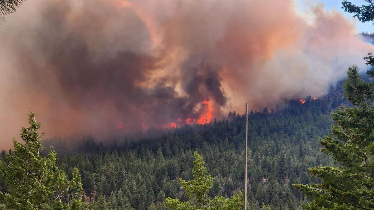 Bald Range Wildfire Forces Mass Evacuations In British Columbia