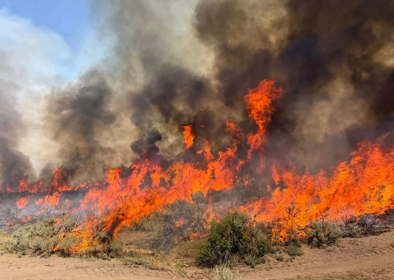Utah Helicopter Crash Kills Two During Wildfire Suppression