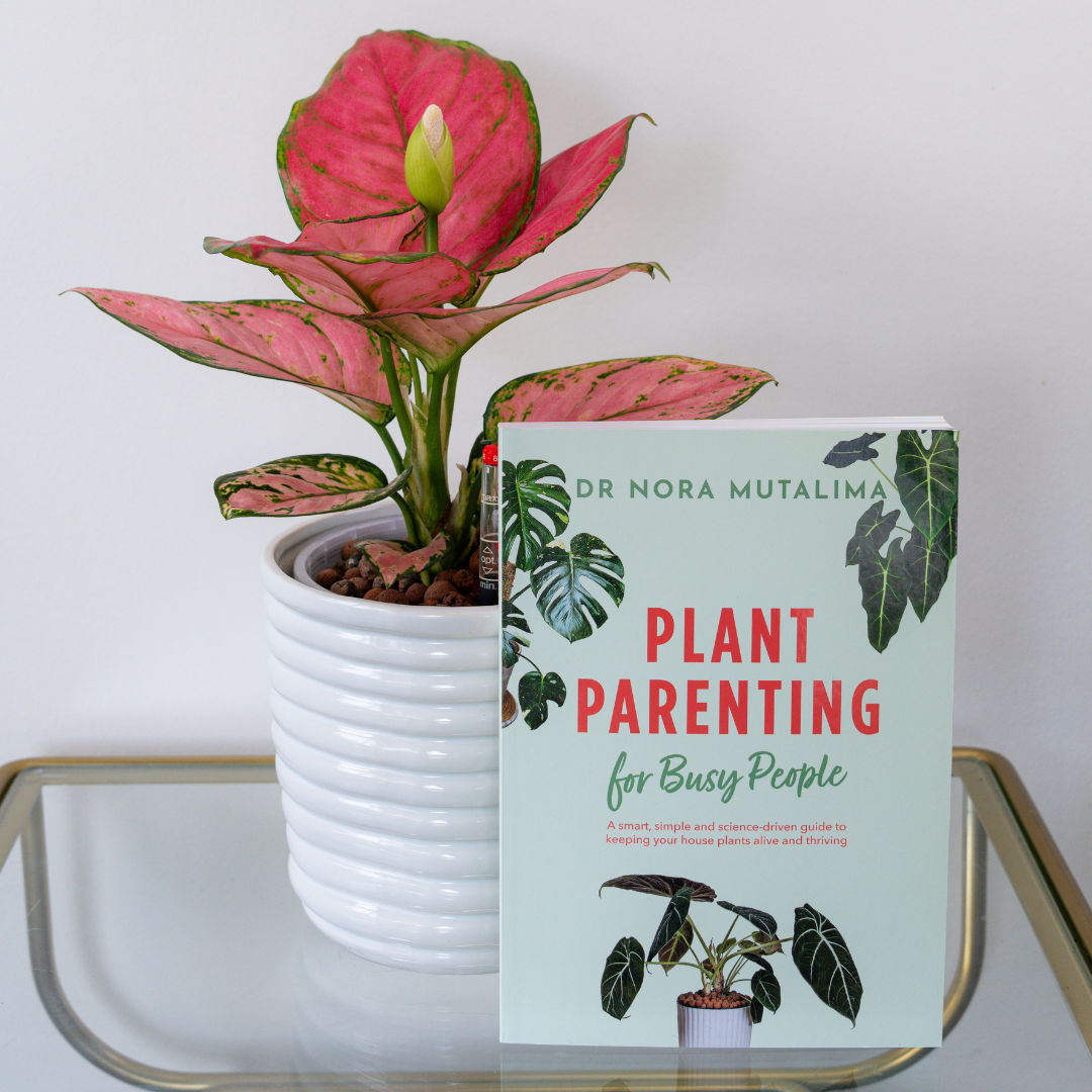 Plant Parenting for Busy People book