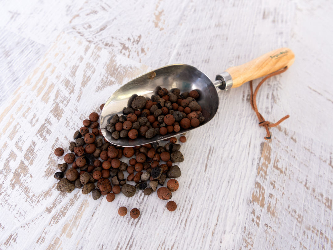 Plant care tools and resources