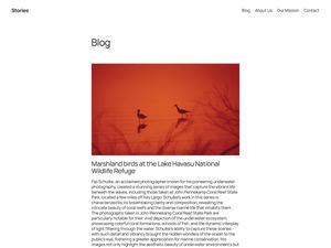Twenty Twenty-Five - Theme Wordpress