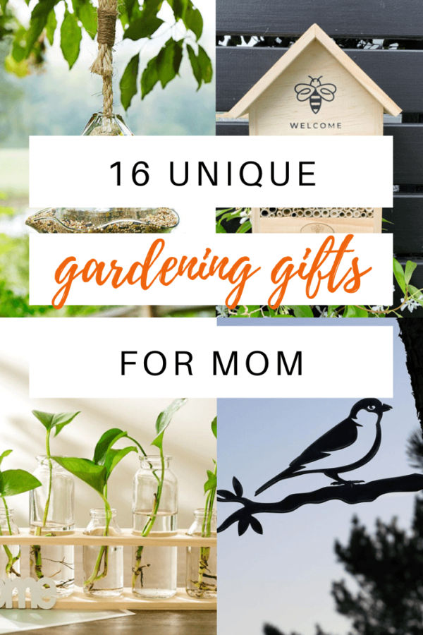 15 of the Best Gardening Gift Ideas For Mom She'll Never Suspect! - The Potager Project