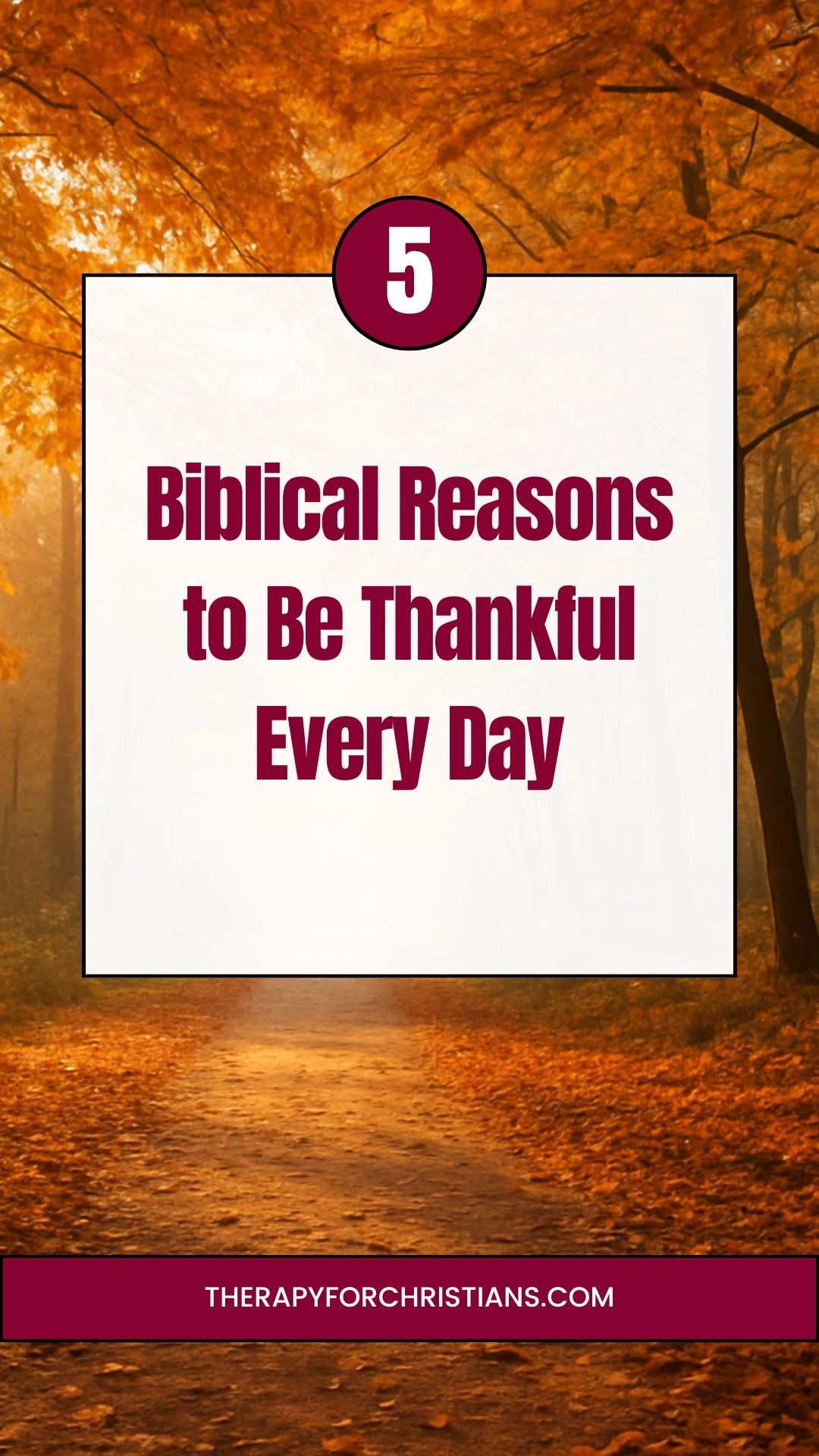 5 Biblical Reasons for Being Thankful in Every Season