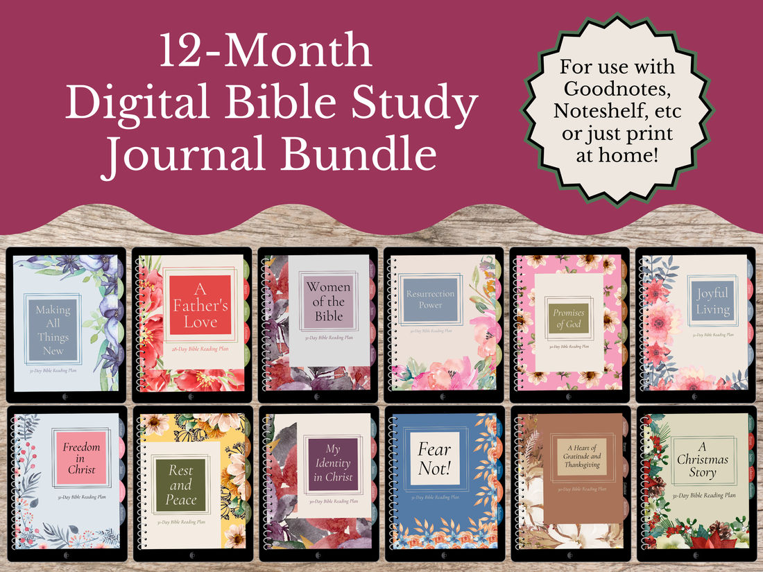 12 month daily bible reading plan by Kingdom bloggers