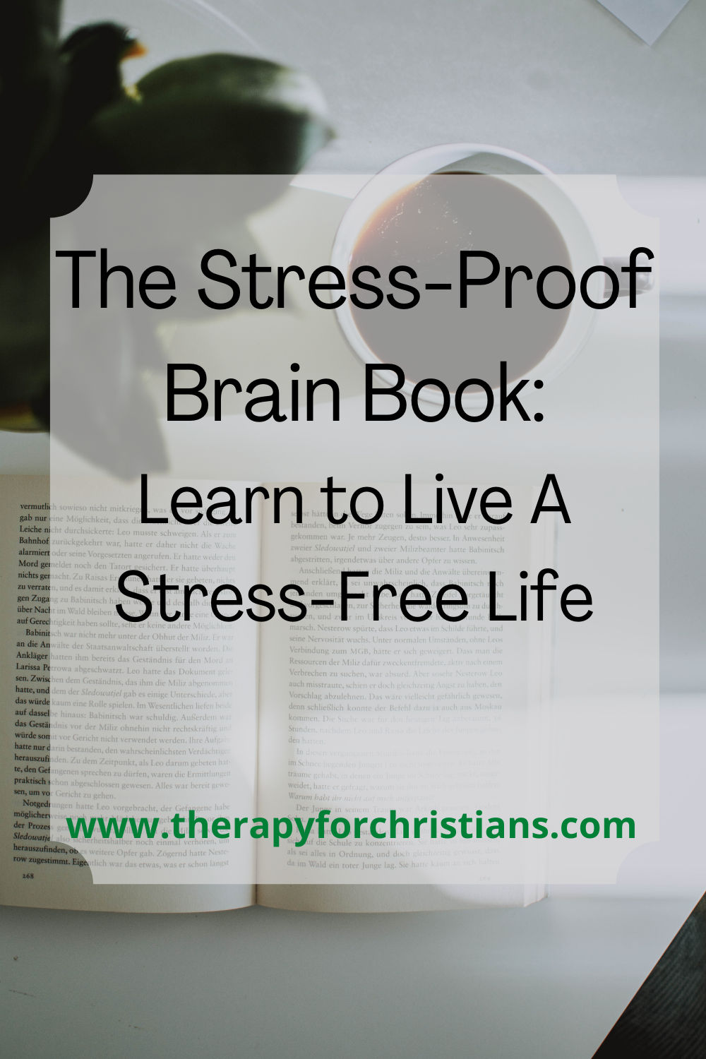 The Stress-Proof Brain Book Pinterest Image