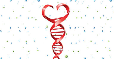 Do you have the DNA of a good lover?